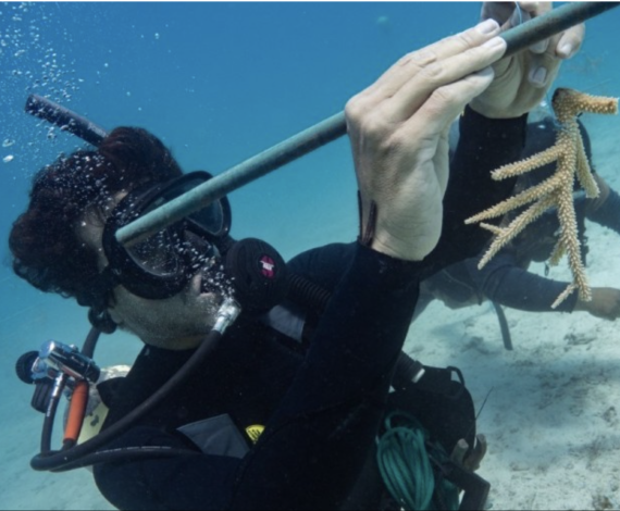 March highlight image