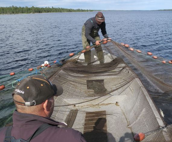 August 2021 Highlight Card