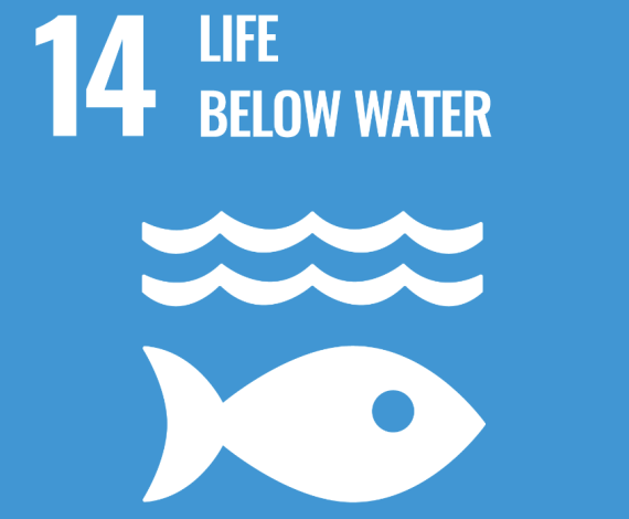 life below water