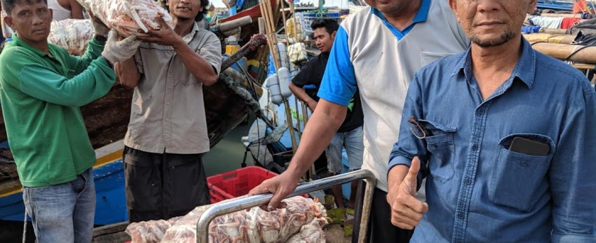 Unloading catch in Lampung, Indonesia