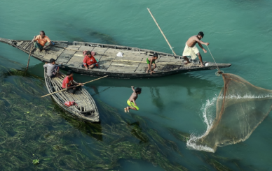 Muhammad Amdad Hossain